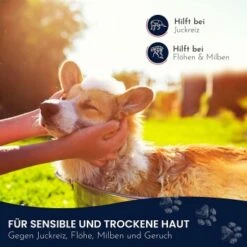 Pawlie's Sensitiv Hundeshampoo Für Hunde 11 Pawlie's Sensitiv Hundeshampoo Für Hunde -ROYAL CANIN Verkaufsgeschäft e89fe06ff66f08049212bfc10adc10153aeb63cf 1626194 de DE 4976fc58bb1aa66ec74bbce2250fc22a134be1c3oYKgL0