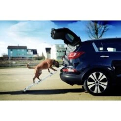 4pets Rampe EasySteps 9 4pets Rampe EasySteps -ROYAL CANIN Verkaufsgeschäft e900a968d8a04ba612530fdd36c5aa69f2fcdb42 13c5bbebb6d2cdec433b668e9fb0bd46dd6f4298