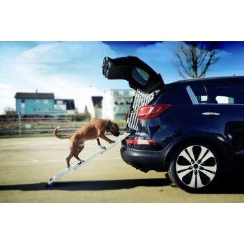 4pets Rampe EasySteps 6 4pets Rampe EasySteps – Bild 4