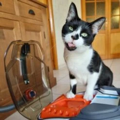 THOMAS Staubsauger 18 THOMAS Staubsauger -ROYAL CANIN Verkaufsgeschäft e924a64d06d1776c60effa6ed643bd7a6c20fdca 1406733 de DE 08e20bea72feee79416abcd48fd6e6a61e2fc6eav4kQrJ