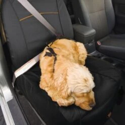 Kurgo CoPilot Beifahrersitz-Schutzbezug, Schwarz -ROYAL CANIN Verkaufsgeschäft e9dedc3915fd7f64ff5281852f2ce6a883f990b6 1262328 de DE 1a9037ae1854c54901ca8f01c3f0bcec2e0c6bed5H0Ilt