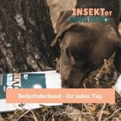 BeG Buddy Trockenfutter Insekten 750 G -ROYAL CANIN Verkaufsgeschäft eadf0fb719be9ce7396729afe6eec8326ea5f293 1457247 de DE 123bfe8a8f9618b3a58ac5efe483c5e0ad6f0bd2LnO57d