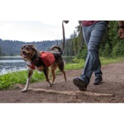 Ruffwear Front Range™ Hundetagesrucksack Rot XS 19 Ruffwear Front Range™ Hundetagesrucksack Rot XS -ROYAL CANIN Verkaufsgeschäft ecc2342d30f723199676137e5ad8c45ad3ce0796 1639836 de DE fe8e077ce41ec4d12619357e7402d2ee7ca63fed0L7PK6