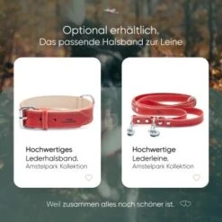 Freudentier Gefüttertes Halsband Aus Leder Rot L -ROYAL CANIN Verkaufsgeschäft edbbec2203d36f9f92e63e25e5dac1465e2212f9 1655241 de DE f27ae6c917577706d4abf31813f6f4ca38005295rnxmmc