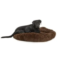 Wallace & Jones Plüschbett Sarnia M Braun -ROYAL CANIN Verkaufsgeschäft eded511b68ed9015eaff2077a6b669002854f714 1371486 de DE fd86e10898f57e8b7bd22cdaddd6a5923d7b28e2iGVWqQ