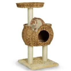 Silvio Design Kratzturm Cestino -ROYAL CANIN Verkaufsgeschäft ef0a90672f1eb00d70c3cd19197169962e160ff2 a23d448577d51dcf93e2a088a7495518cff75b25