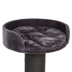 Canadian Cat Company Kratzbaum Carleton Anthrazit -ROYAL CANIN Verkaufsgeschäft efbdf37204e912ab023ff794d5269e8b2c8d80b8 1378658 de DE f9a0f6f920248eb809a13e4798eebcf60579d262lGMA3V