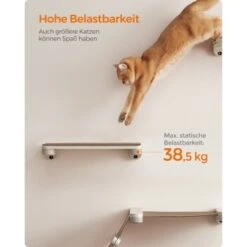 FEANDREA 3st. Clickat Katzenbrett Für Die Wand 14 FEANDREA 3st. Clickat Katzenbrett Für Die Wand -ROYAL CANIN Verkaufsgeschäft eff0845c1d39f1df06ac9b2fea5543f13b924fe7 1681458 de DE 49f3284dc1e7752ec473d61a07cc5870214b52015wNOhn