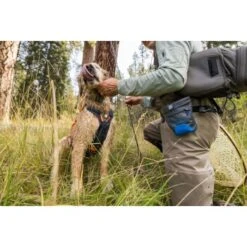 Ruffwear Treat Trader™ Leckerlitasche -ROYAL CANIN Verkaufsgeschäft f047b48a7af1cb58de3db1fe3f5f01d6d99293c1 1651410 de DE d8dd3c64d2dd9806bf291fab5ac00a3bc756c74aWlhwjb