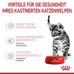 ROYAL CANIN KITTEN STERILISED In Soße 12 X 85g 20 ROYAL CANIN KITTEN STERILISED In Soße 12 X 85g -ROYAL CANIN Verkaufsgeschäft f17e534b080d5c9cc35e30c23712b229f48b5cbe 1298264 de DE Kittenster 4