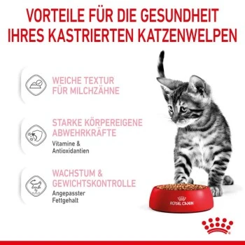 ROYAL CANIN KITTEN STERILISED In Soße 12 X 85g 11 ROYAL CANIN KITTEN STERILISED In Soße 12 X 85g – Bild 9