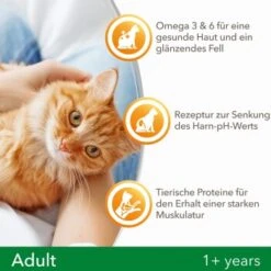 IAMS Vitality Adult Huhn 3 Kg -ROYAL CANIN Verkaufsgeschäft f239d7ef57a6054553948e62d3d5feb16002578a 8361bd6d370c2f798bd71fa3242ca269884546de