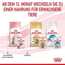 ROYAL CANIN KITTEN STERILISED In Soße 12 X 85g 15 ROYAL CANIN KITTEN STERILISED In Soße 12 X 85g -ROYAL CANIN Verkaufsgeschäft f24914890e93bb258bba02c00adf6300f771d67b 1298264 de DE Kittenster 8
