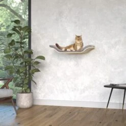 MORE Wandliegefläche Leto -ROYAL CANIN Verkaufsgeschäft f26a5f4280fc999989de9a132006a0e8a30c3634 1373454 de DE AniOne Wandliegefl che Leto wb 2