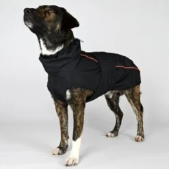 THE DOG IDEA Regenmantel Duke Schwarz XXXS -ROYAL CANIN Verkaufsgeschäft f29242359df1a071e2aabe682ce26323da8fa9d3 1472973 de DE 2d3ce4b64373a26701d22a56596fd6822889f96dzbZU59