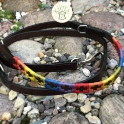 Kipita Polo Hundeleine Rainbow -ROYAL CANIN Verkaufsgeschäft f3b98636484bb0da3aff9874317516232b0f492b 1410921 de DE 2dcbf9517c2655c318ad610cd373ac70231ecaa8s7g44a