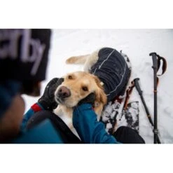 Ruffwear Cloud Chaser™ Hundejacke -ROYAL CANIN Verkaufsgeschäft f46c67f8b7243d976f998e1877675b56fc87eab2 1369625 de DE 51d1c132eb566a7eb9e278708f64567d4e47a10epBiJRc