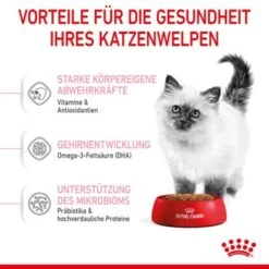 ROYAL CANIN Kitten 4 Kg 20 ROYAL CANIN Kitten 4 Kg -ROYAL CANIN Verkaufsgeschäft f4a05d762cdc5e6b170f6edd236e6bd5b7278cb0 3182550702973 5