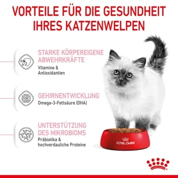ROYAL CANIN Kitten 4 Kg 11 ROYAL CANIN Kitten 4 Kg – Bild 9