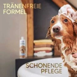 Pawlie's Welpenshampoo -ROYAL CANIN Verkaufsgeschäft f56801adb1bee6d0b5fdd328d641fa773ce5d4c4 1626204 de DE 7b87b87a2e48e8c0e12b98c918c4d75b538aae40E5TfEc