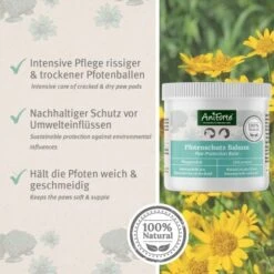 Aniforte Pfotenschutz Balsam 120ml Sommer & Winter -ROYAL CANIN Verkaufsgeschäft f6352728d2d295839a5f9bac2123e02ea5cfd66d 1480491 de DE b4b6382b0452d366b3ffc33798d9e5be379c6ee9yrOk4E