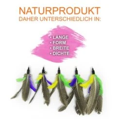 Schlitzohr Katzenangel Federanhänger 5x -ROYAL CANIN Verkaufsgeschäft f6a96b93601c3b2f6f7420ade3ecfe56542cca74 1484675 de DE b1d2fd29ad67016b9a6af908251d348edfa467f2BG8aWR