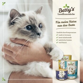 Betty's Landhausküche Frischebeutel Huhn Mit Lachs 12 X 100g Für Katze 4 Betty's Landhausküche Frischebeutel Huhn Mit Lachs 12 X 100g Für Katze – Bild 2