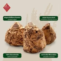 ChronoBalance Kauwurzel Baumheide (M) 2er Paket -ROYAL CANIN Verkaufsgeschäft f97f60efcfff78cc60f7b0cb9b454de043b3bc44 1418714 de DE 7f5c8529b0ef5815ce0e8f89d9a5ef23e03b1c21rrSfDg