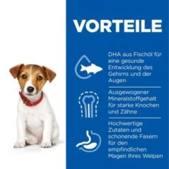 Hill's Science Plan Small & Miniature Puppy Mit Huhn 3 Kg -ROYAL CANIN Verkaufsgeschäft f99e800bdba85688d025c611ec54227734f1645a 52742281704 4