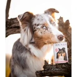 DOG'S LOVE Adult Hypoallergen 6x400g -ROYAL CANIN Verkaufsgeschäft f9f1fc4aa515eab49cf2248bceb6cc0121fe13fb 1274558 1