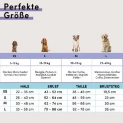 STUCH Geschirr Hund Gepolstert Schwarz XS -ROYAL CANIN Verkaufsgeschäft faead16826f5716adb76ac8b6986319f92d9537c 1410595 de DE c7d10043cfc3a8cb4000a14b28c9e8ccaa90c0d7I1BbrZ