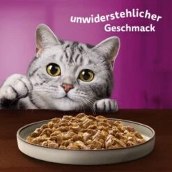 Whiskas Pure Delight Mega Pack Geflügel Ragout In Gelee 40 X 85g 19 Whiskas Pure Delight Mega Pack Geflügel Ragout In Gelee 40 X 85g -ROYAL CANIN Verkaufsgeschäft fb884326dc9636e4843c68e11f5586233a08be8f 1410723 de DE Whiskas 8