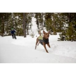 Ruffwear Climate Changer™ Fleece-Pullover Für Hunde Rot S -ROYAL CANIN Verkaufsgeschäft fc22c2bf571467d3b4a13f07039506d1e744f556 1369661 de DE a9fba8eb5491b88489a9522880e926a6833ccfbe7NJDVr