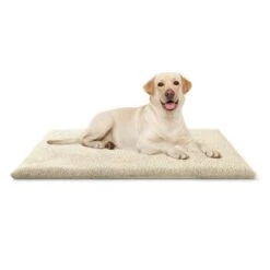 Knuffelwuff Kälteabweisende Und Wärmeisolierende Thermodecke Beige L -ROYAL CANIN Verkaufsgeschäft fdf6fe6f5f7974fc5d88fb4615aa184d30b9a302 1411793 de DE a3826ed63b05c282834801a3ccaeb70b6d767ce5WjWmDy