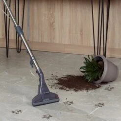 THOMAS Boxer -ROYAL CANIN Verkaufsgeschäft fe5b6c6c7443e47d820e4e2f07f6ebfc818626b8 1406732 de DE 9a816e68b26295ee7c74b4d90c1b39fcc4c5a7cankj8IW