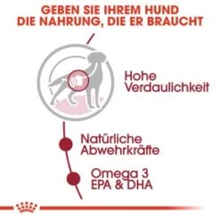 ROYAL CANIN MEDIUM Adult 10x140g 13 ROYAL CANIN MEDIUM Adult 10x140g -ROYAL CANIN Verkaufsgeschäft fe6b640f91b67bdea30a112f4c79409a8b1d5a34 9003579008362 3