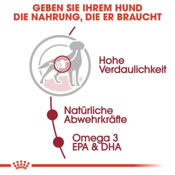 ROYAL CANIN MEDIUM Adult 10x140g 8 ROYAL CANIN MEDIUM Adult 10x140g – Bild 6