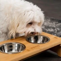 Lionto Erhöhte Futterstation Aus Bambus Braun/ Silber S -ROYAL CANIN Verkaufsgeschäft ff2eba128a0d6b75a70cc824dc213b8dd85d734a 1665921 de DE e23b5a688ebe67bbe1f23e079b16083d61ef18cdlFh9kV