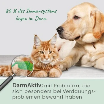CdVet DarmAktiv Hund & Katze 4 CdVet DarmAktiv Hund & Katze – Bild 2