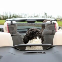 KONG Vordersitzbarriere 14 KONG Vordersitzbarriere -ROYAL CANIN Verkaufsgeschäft ff5dbde9995c56c34bbe7bc5016592f3adbb7bc3 2f73ce2132082534f311b2977a78cc14a0a72f3e