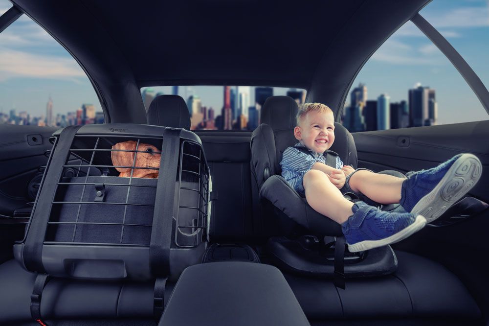 ROYAL CANIN Verkaufsgeschäft 16 ROYAL CANIN Verkaufsgeschäft -ROYAL CANIN Verkaufsgeschäft 508486 4pets Autobox Caree Cool Grey 7 Zwaergehuesli Shop